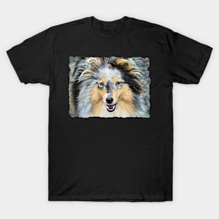 Shetland Sheepdog T-Shirt